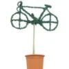 Bicycle (Ligustrum Delavayanum) -Groene Boom Winkel 20060529163904 1
