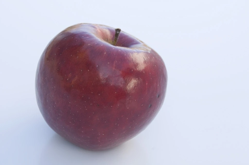 Appelboom (Malus Domestica 'Braeburn') 1 Appelboom (Malus Domestica 'Braeburn')